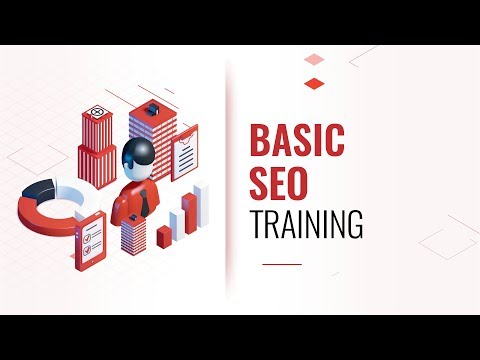 SEO Basics Training Coaching Program